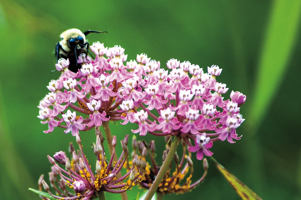 A Guide to Natural Areas of Southern Indiana