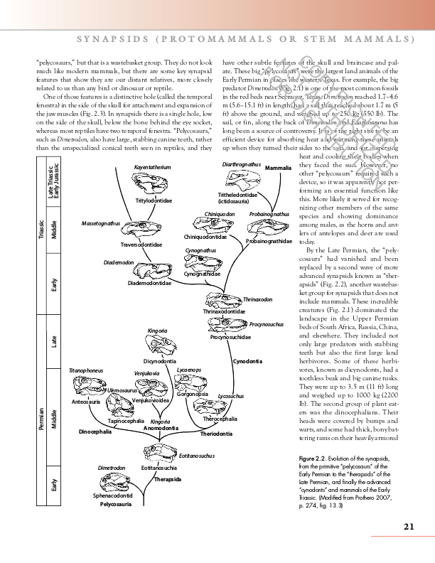 The Princeton Field Guide to Prehistoric Mammals