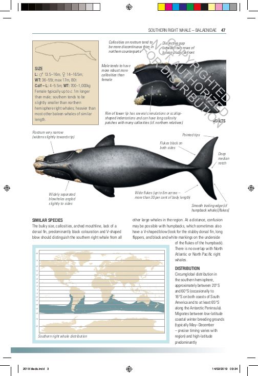 Handbook of Whales, Dolphins, and Porpoises of the World