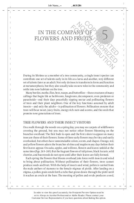 The Hidden Company That Trees Keep