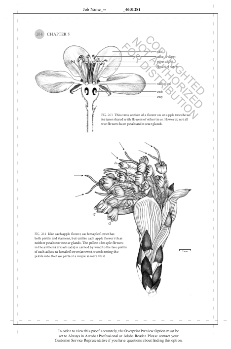 The Hidden Company That Trees Keep