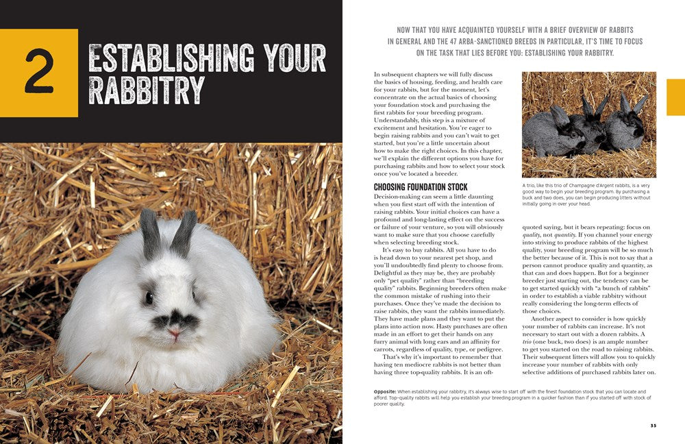 How to Raise Rabbits