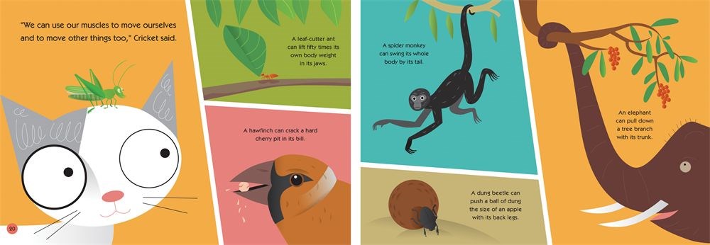 Oscar and the Cricket