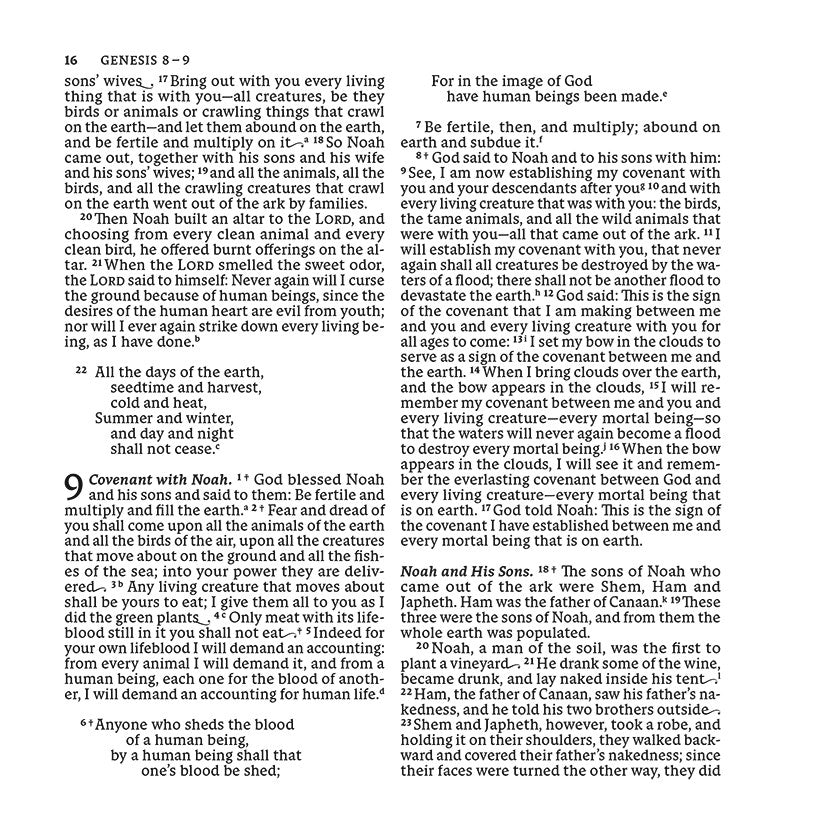 NABRE XL, Catholic Edition, Leathersoft, Burgundy, Comfort Print