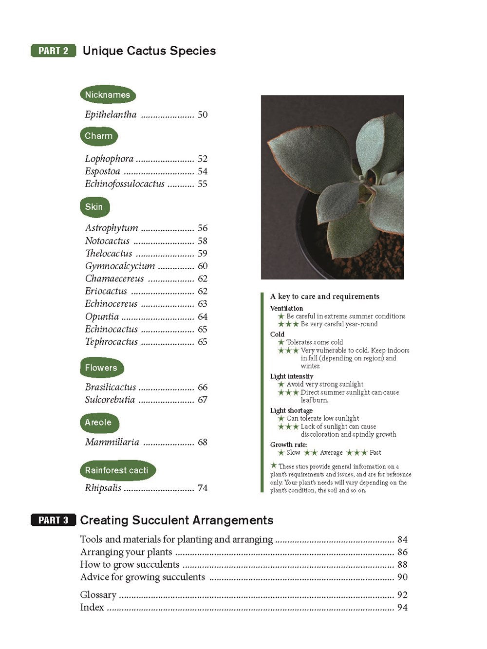 The Gardener's Guide to Succulents