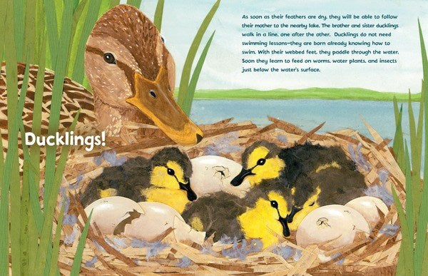 Guess What Is Growing Inside This Egg