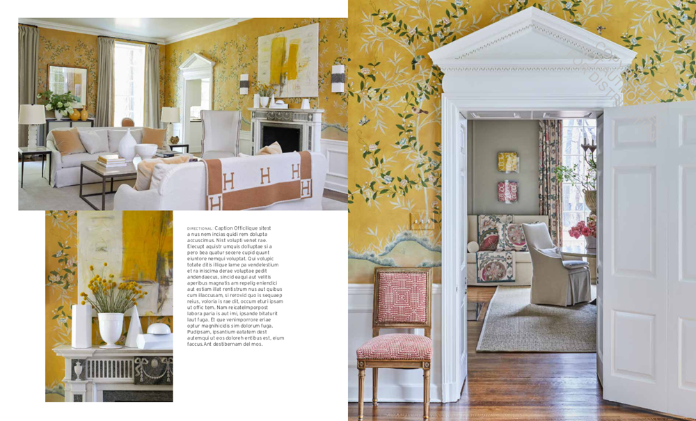 Suzanne Kasler: Edited Style