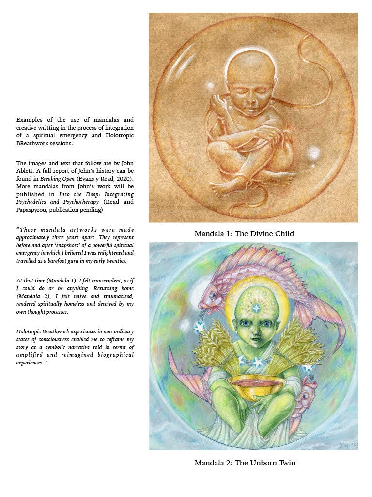 Psychedelic Integration