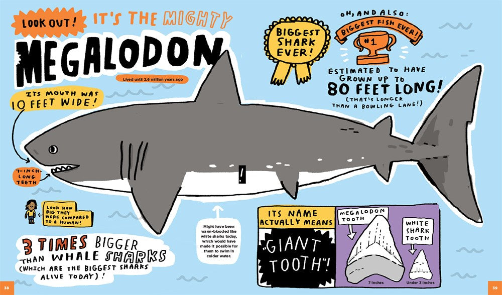 Everything Awesome About Sharks and Other Underwater Creatures!