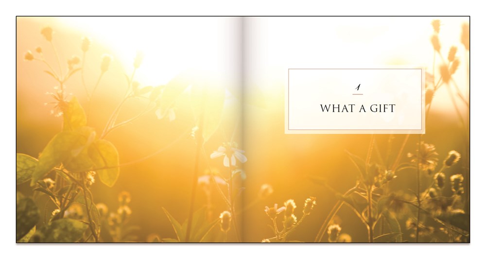 The Gift of the Cross