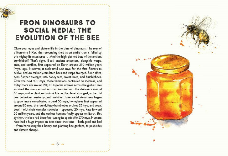 The Little Book of Bees