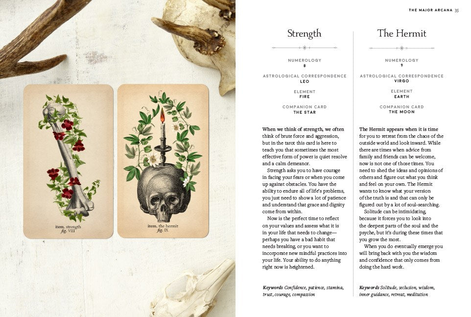 The Antique Anatomy Tarot Kit