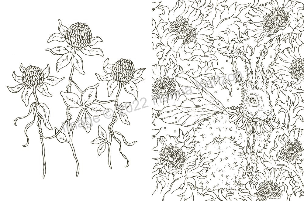 Tales from the Witch's Cottage