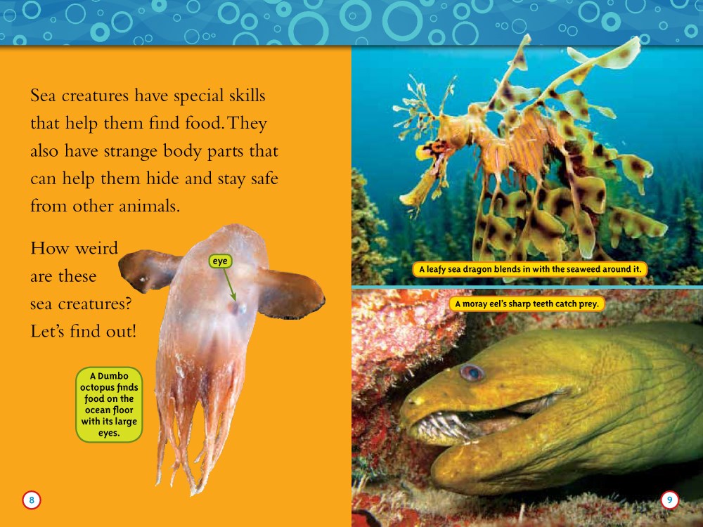 Weird Sea Creatures (National Geographic Kids Readers, Level 2)