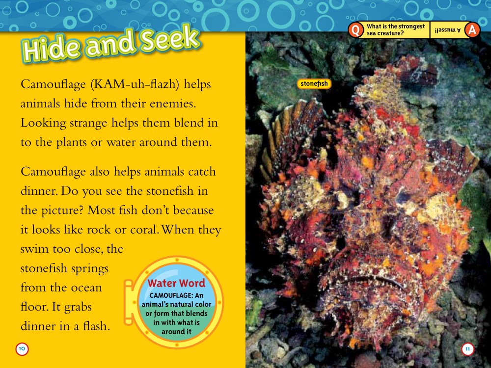 Weird Sea Creatures (National Geographic Kids Readers, Level 2)