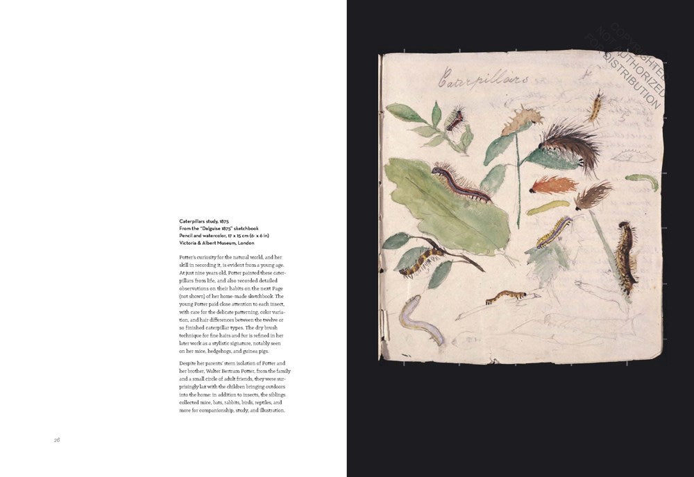 The Art of Beatrix Potter