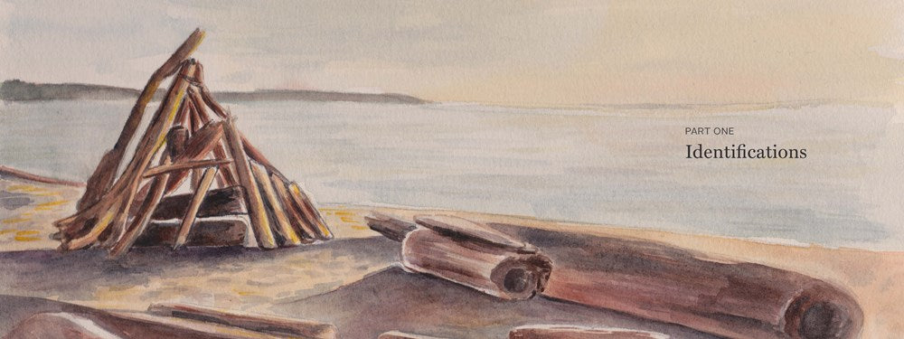 The Beachcomber's Companion