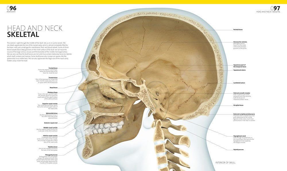 The Complete Human Body, 2nd Edition