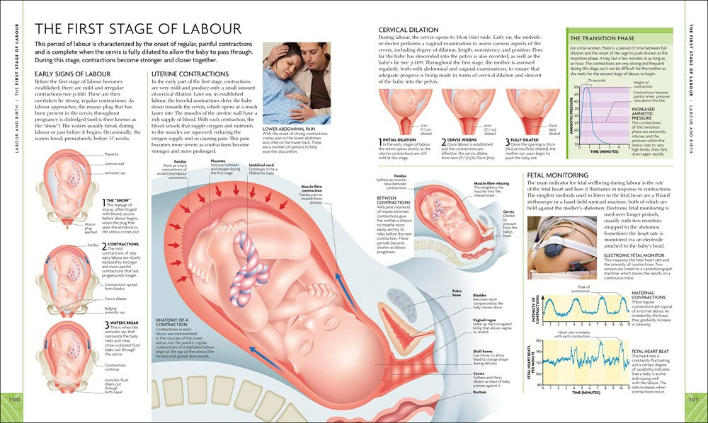 The Science of Pregnancy