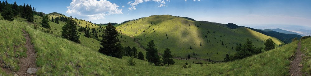 Best Wildflower Hikes New Mexico