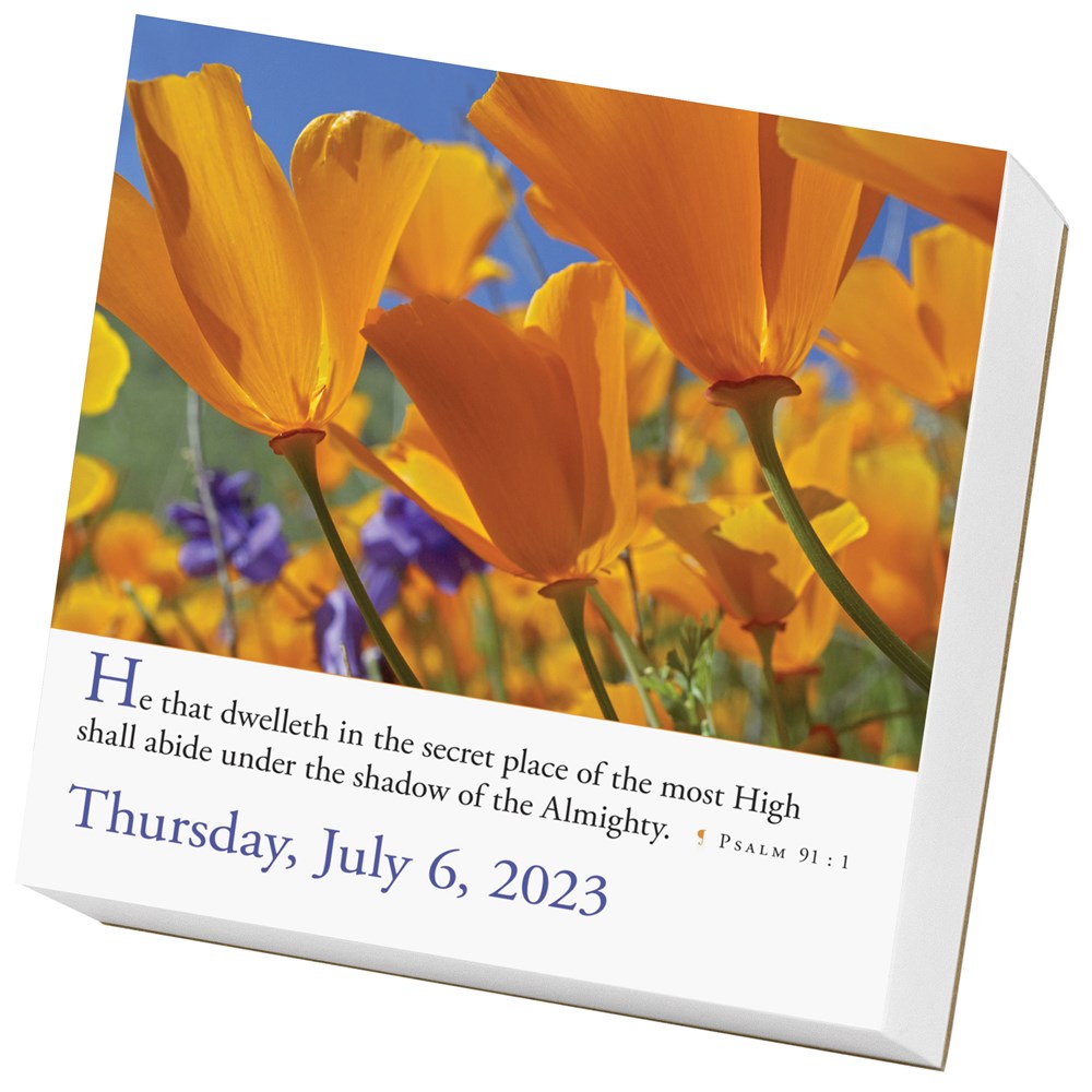 365 Bible Verses-A-Year Page-A-Day 2023