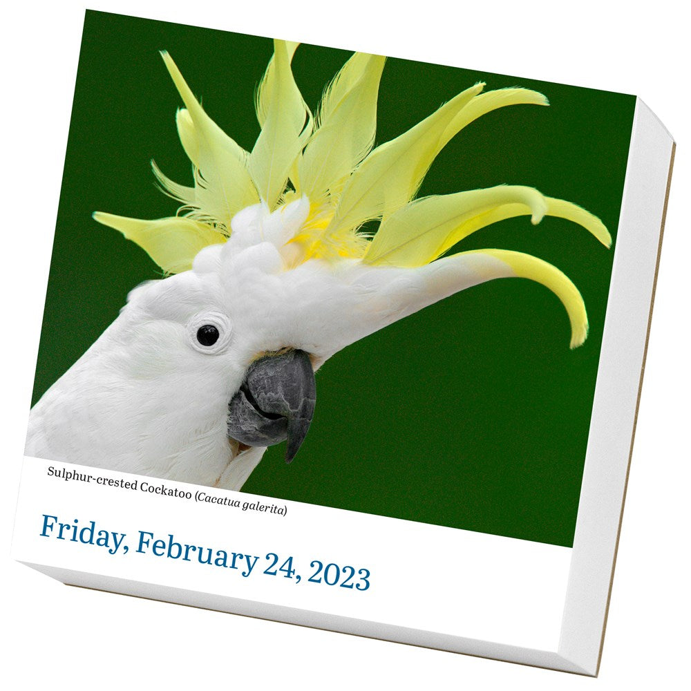 Audubon Birds Page-A-Day Calendar 2023