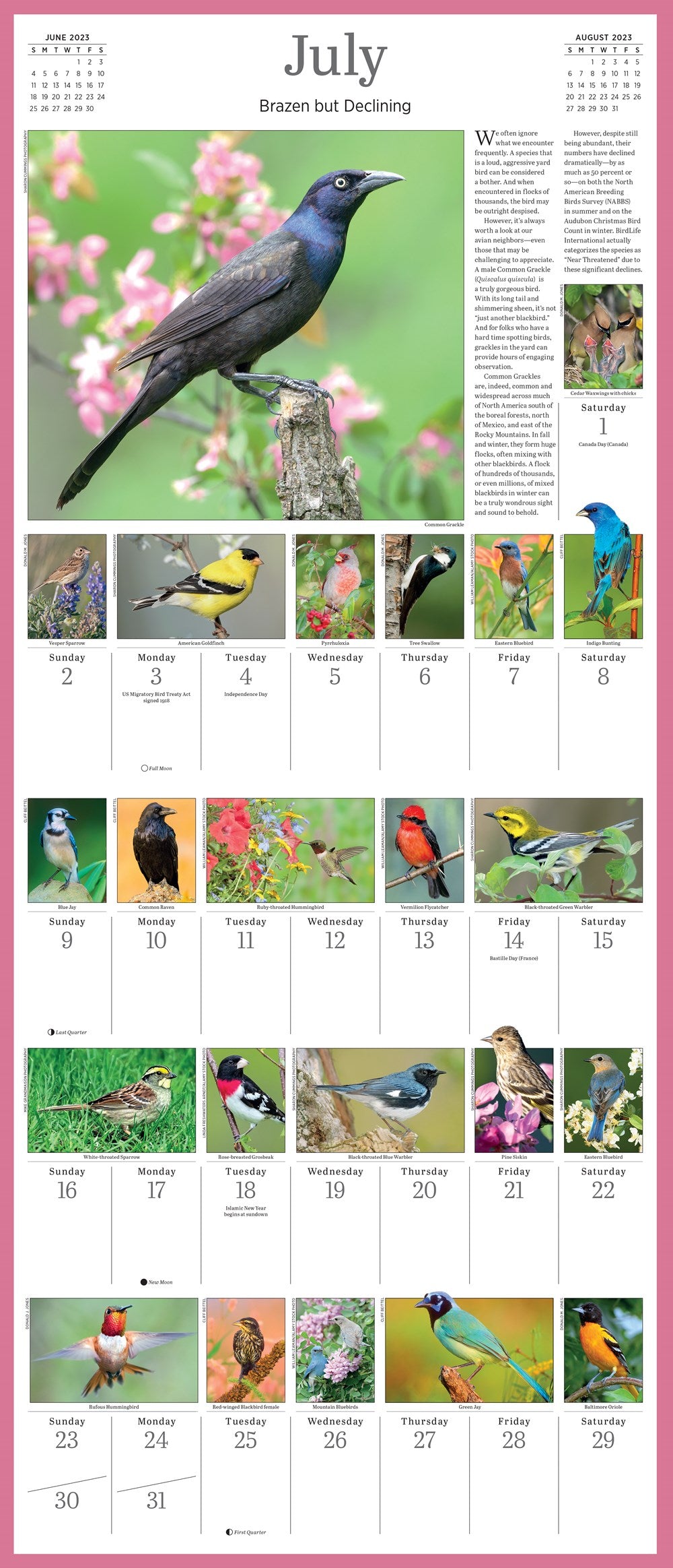 Audubon Songbirds and Other Backyard Birds Picture-A-Day Wall Calendar 2023