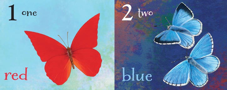 Butterfly Colors and Counting