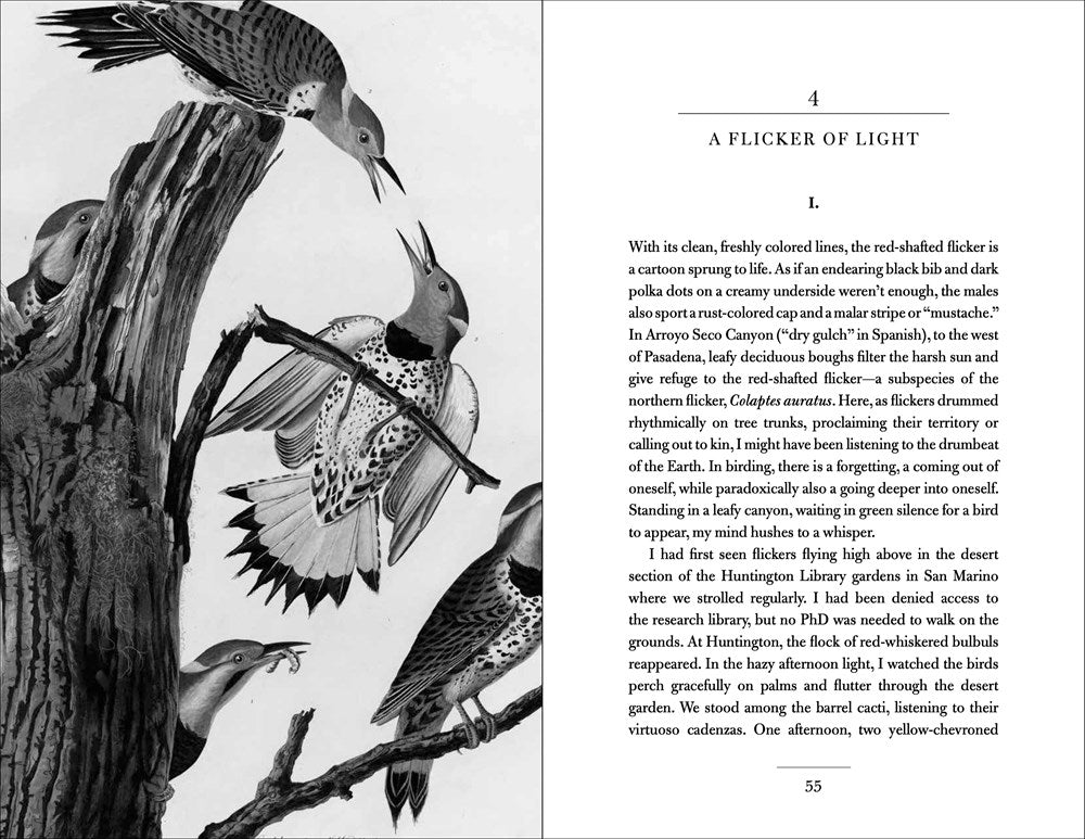Conversations with Birds