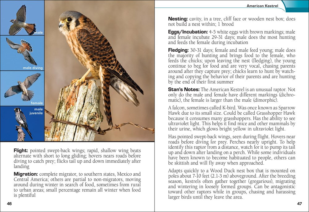 Birds of Prey of the Midwest Field Guide
