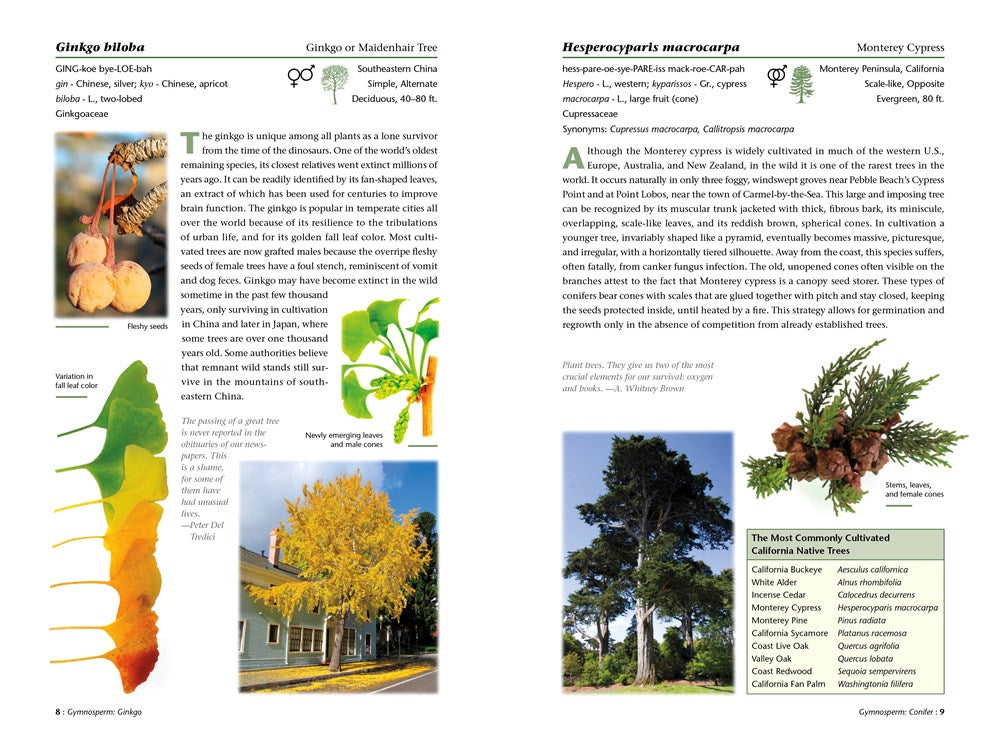 A Californian's Guide to the Trees Among Us