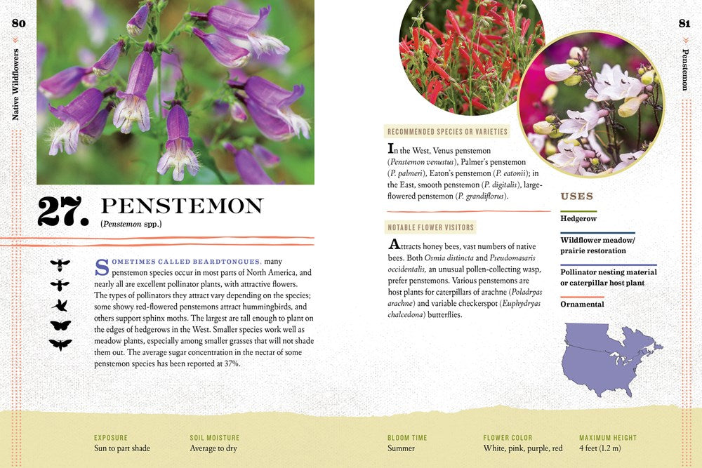 100 Plants to Feed the Bees