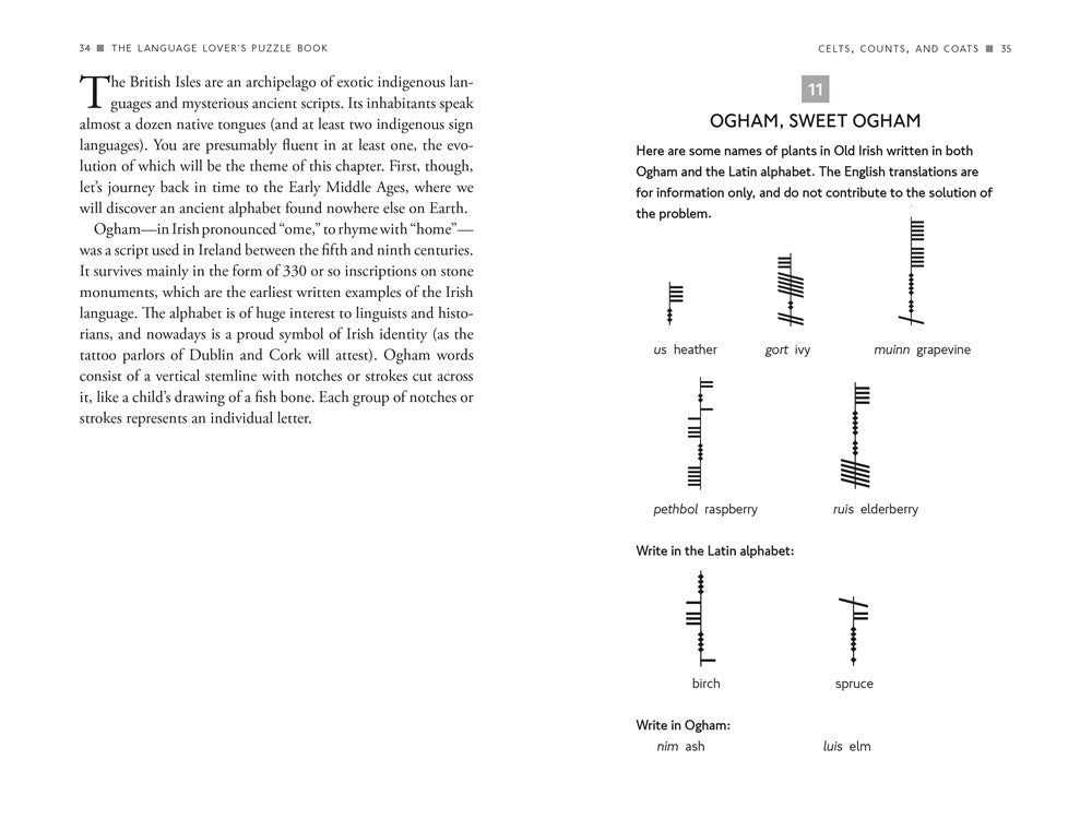 The Language Lover's Puzzle Book