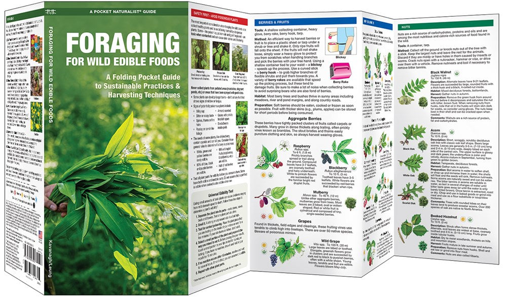 Foraging for Wild Edible Foods