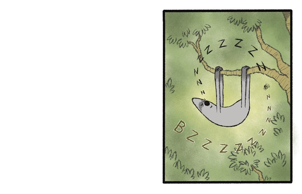 Peter & Ernesto: The Lost Sloths