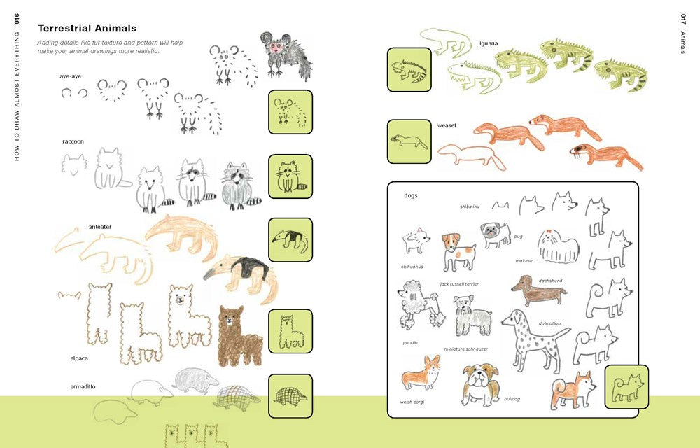 How to Draw Almost Everything