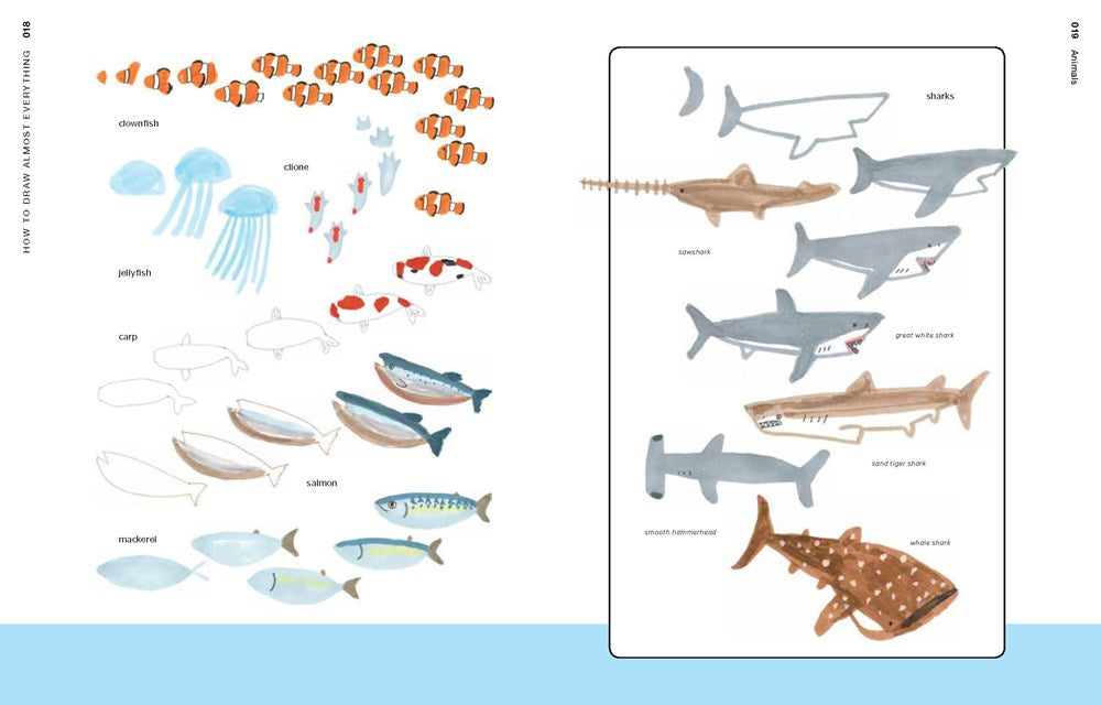 How to Draw Almost Everything