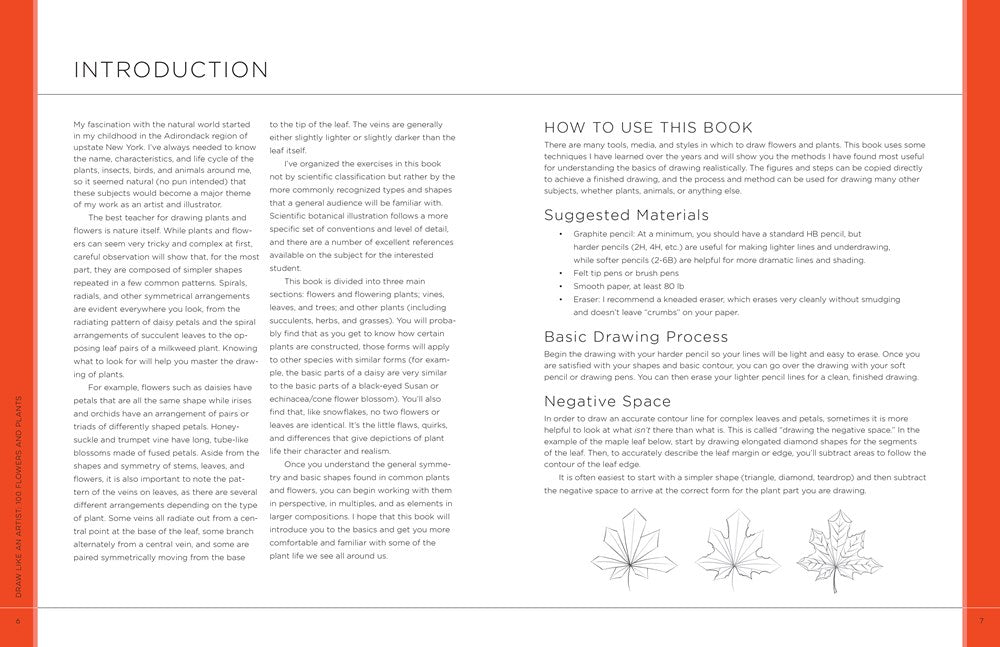 Draw Like an Artist: 100 Flowers and Plants