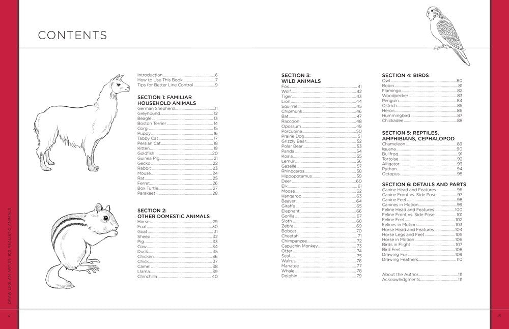 Draw Like an Artist: 100 Realistic Animals