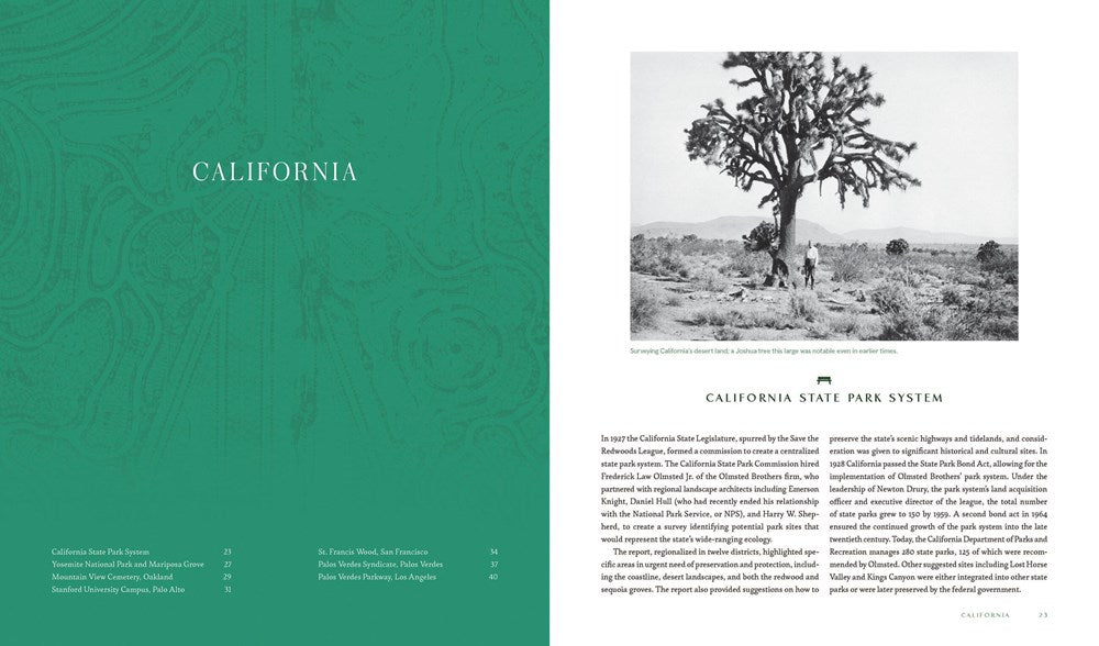 Experiencing Olmsted