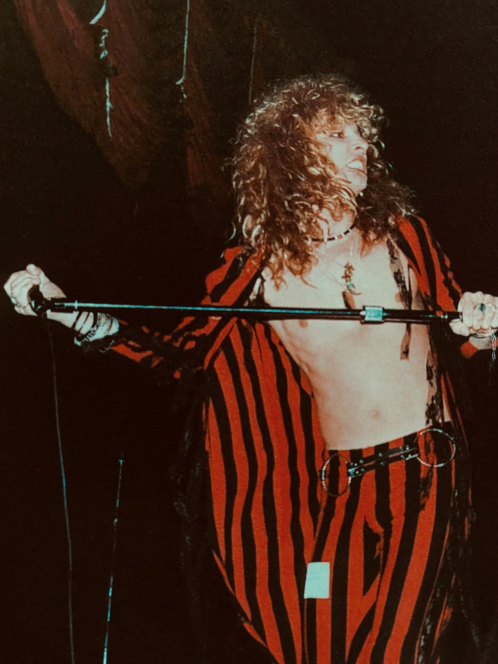 Horseshoes and Hand Grenades: Tales from the Other Mötley Crüe Frontman and Journeys through a Life In and Out of Rock and Roll