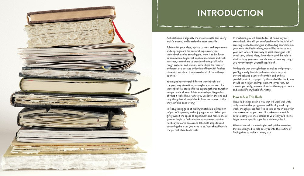 The 30-Day Sketchbook Project