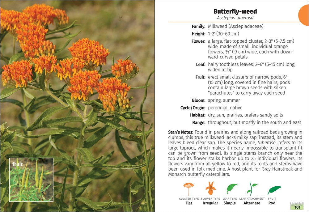 Wildflowers of Ohio Field Guide
