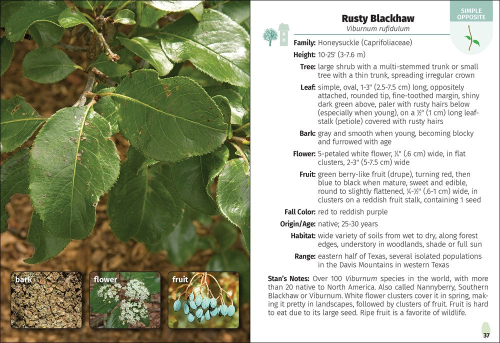 Trees of Texas Field Guide