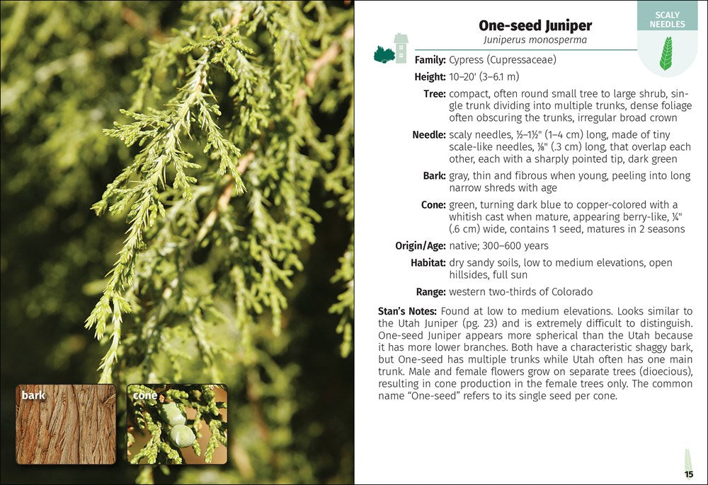 Trees of Colorado Field Guide