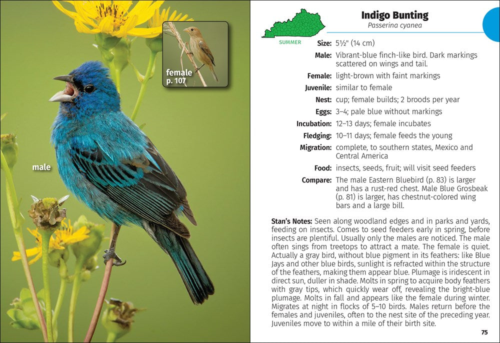 Birds of Kentucky Field Guide