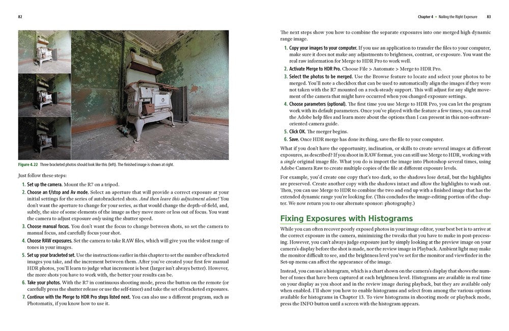 David Busch's Nikon D5600 Guide to Digital SLR Photography