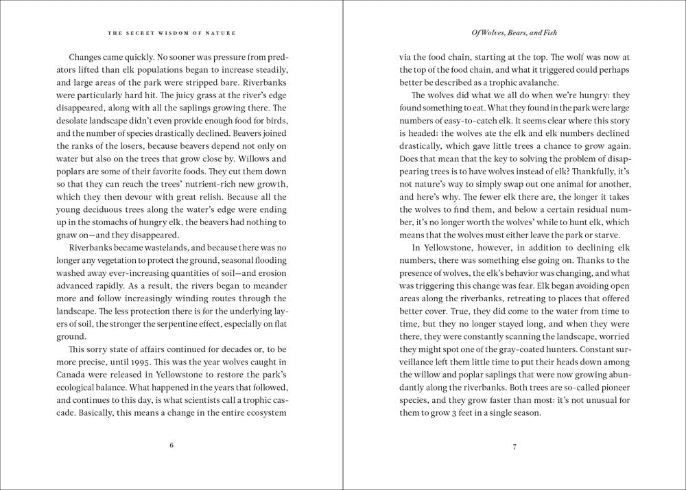 The Secret Network of Nature