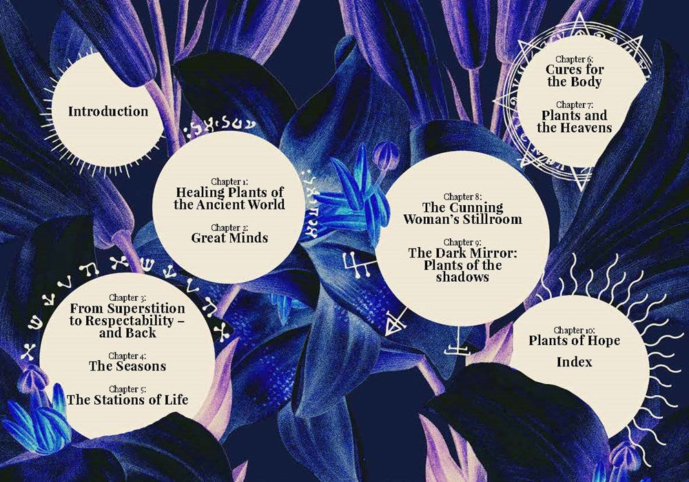 Kew: The Witch's Garden