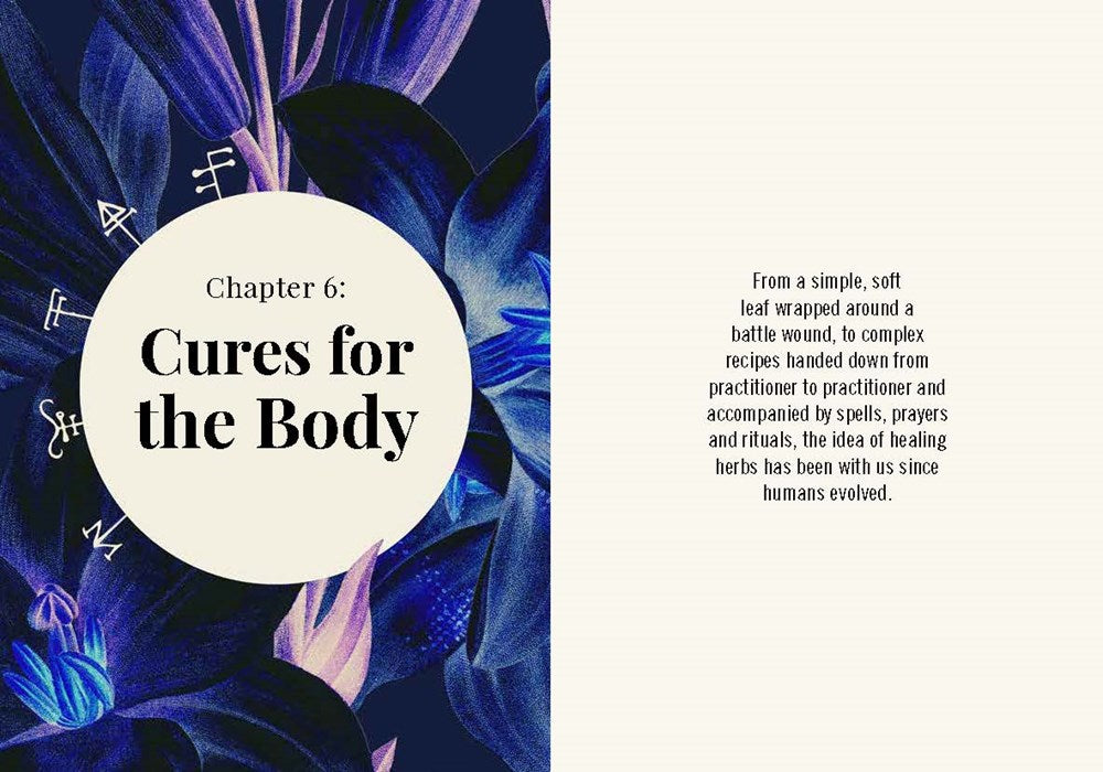 Kew: The Witch's Garden